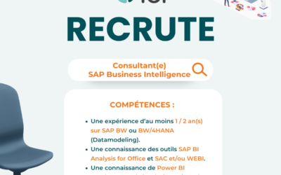 Un(e) consultant(e) SAP Business Intelligence